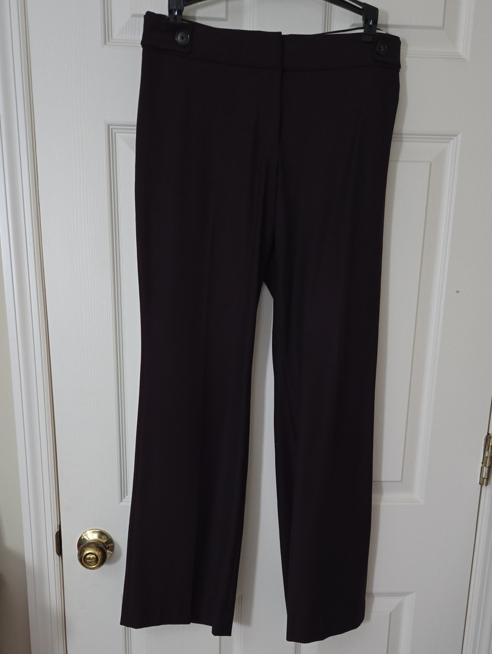 LOFT Dress Pants in Deep Plum